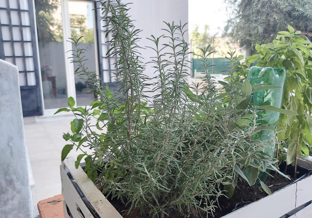 Casa Qanat, Relax In Centro Apartman Palermo Kültér fotó
